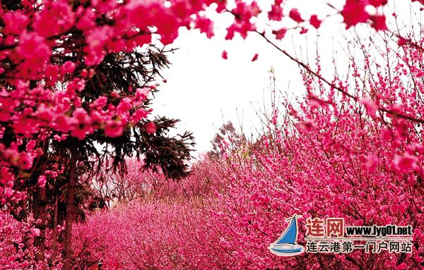 失落的文明之陶渊明笔下的桃花源就在宿城