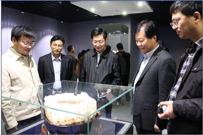 东海县上半年文化工作成绩斐然