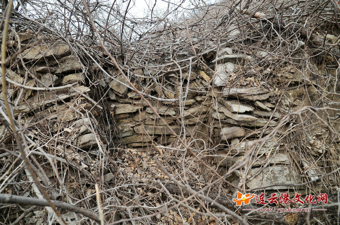 点击浏览下一页