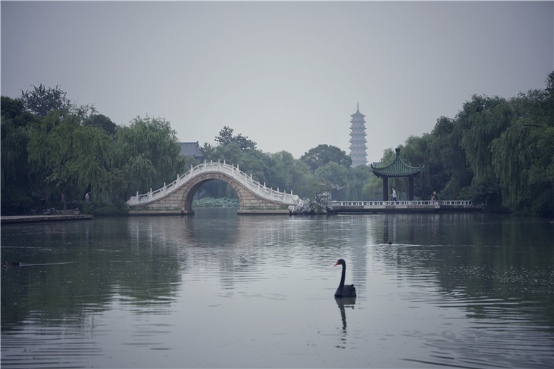 江苏扬州：诗画瘦西湖