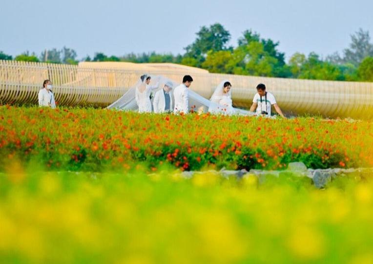 美丽江苏丨宿迁三台山：鲜花怒放 美翻初秋时光