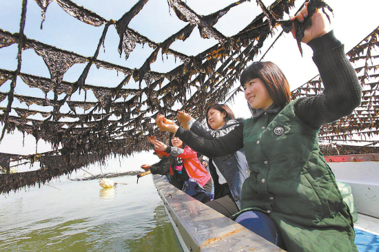 生态旅游热海岛