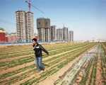 楼市回暖土地购置却减少 土地市场分化明显