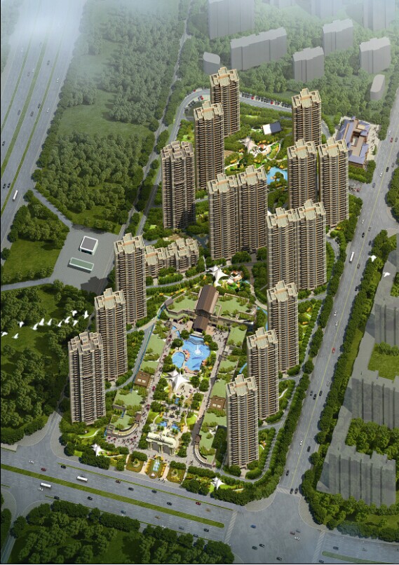 专访碧桂圆苏皖区域副总裁杨东潮