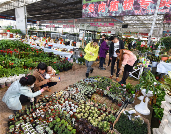 连云港东海“微景观”俏销花卉市场