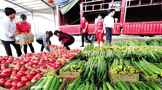 连云港东海县特色产品远销海内外