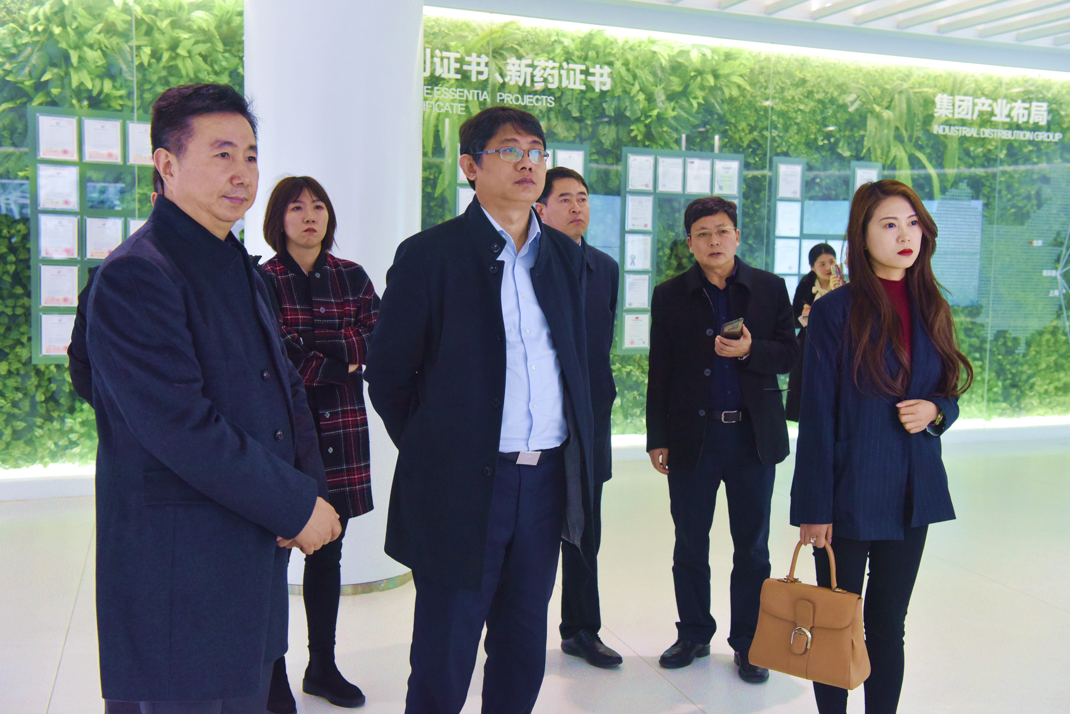 东旭集团副总裁陈瑞榆一行来区考察