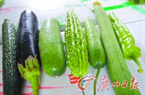 全国各地蔬菜“堵”在广州 菜价集体下降经销商大亏