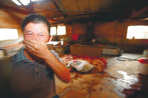 台湾食药署检验人员谈地沟油：从没有闻过这么臭的油