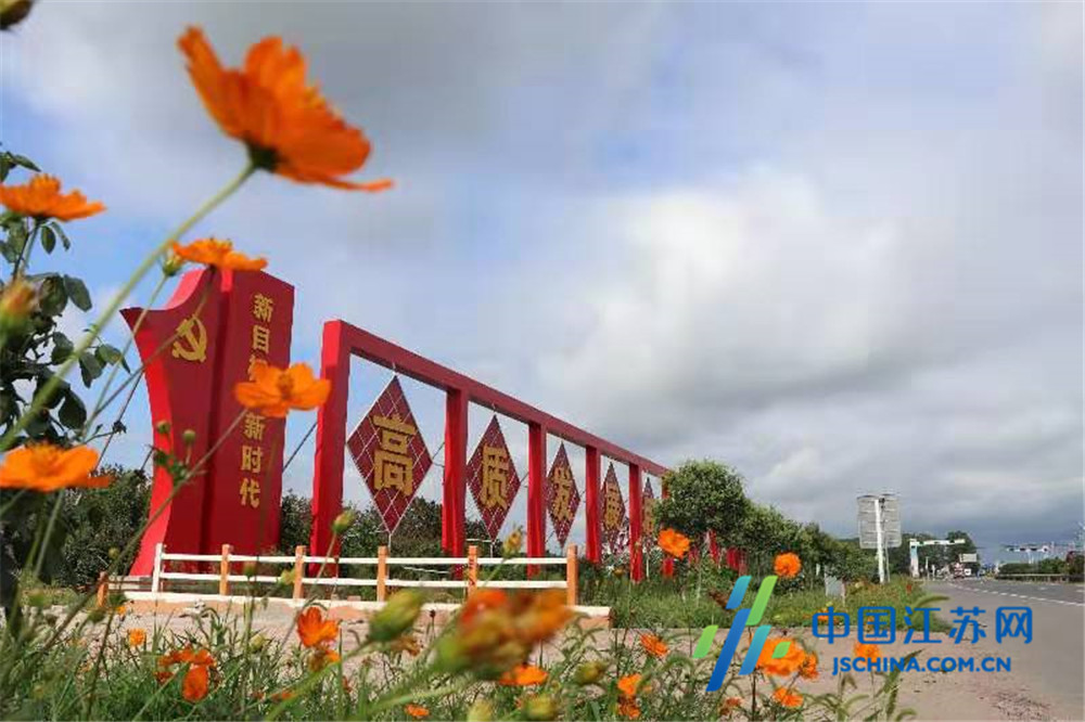 美丽乡村 苏北这个小镇顺利通过国家卫生乡镇考核评审