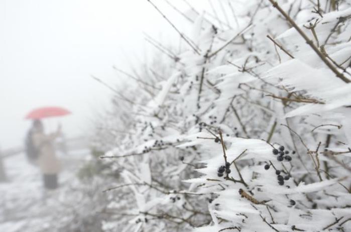 连云港花果山玉女峰迎来降雪