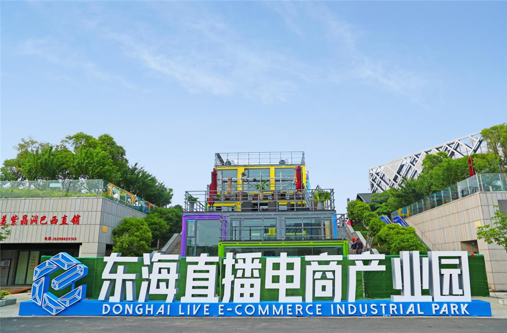 东海水晶集团：学史力行办实事 “网线”连通致富桥