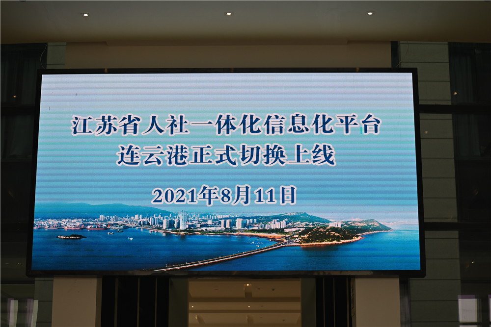 连云港切换上线省人社一体化信息平台 进入全省人社一张网时代