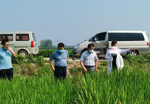 赣榆区农业农村局：学史力行保丰产 农技服务到田间
