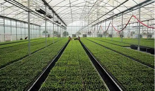 灌南农业重点项目建设如火如荼 累计投入资金30多亿元