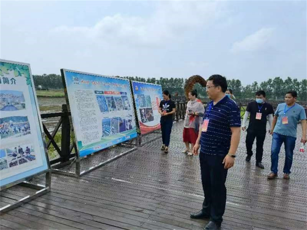 连云港赣榆城头镇人大代表视察民生实事项目