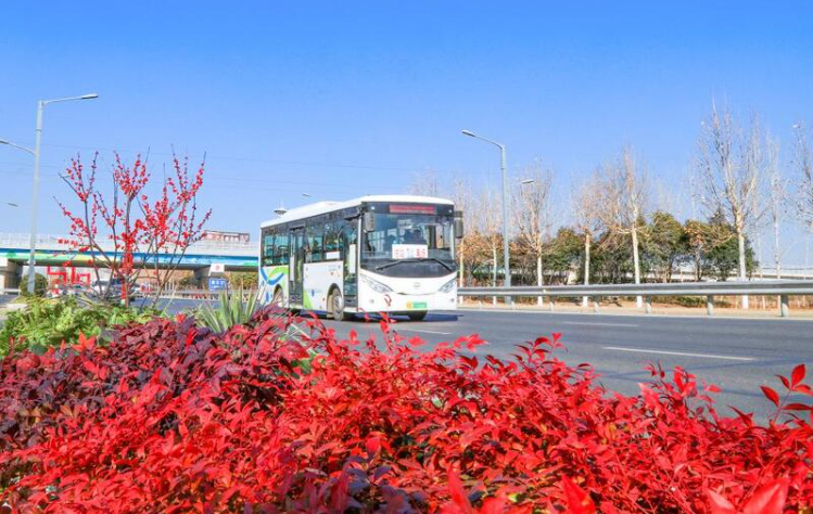 大道通途向未来 东海 2025 交通建设赋能城乡蝶变