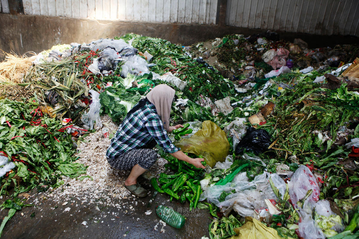 西安每日60吨蔬菜被扔垃圾堆 市民拣菜