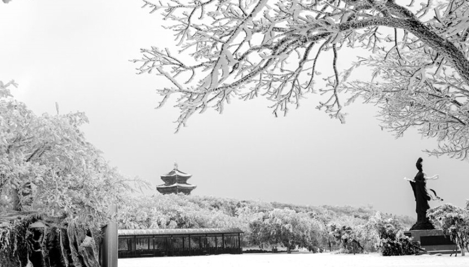 雪后的港城披上一片银装素裹