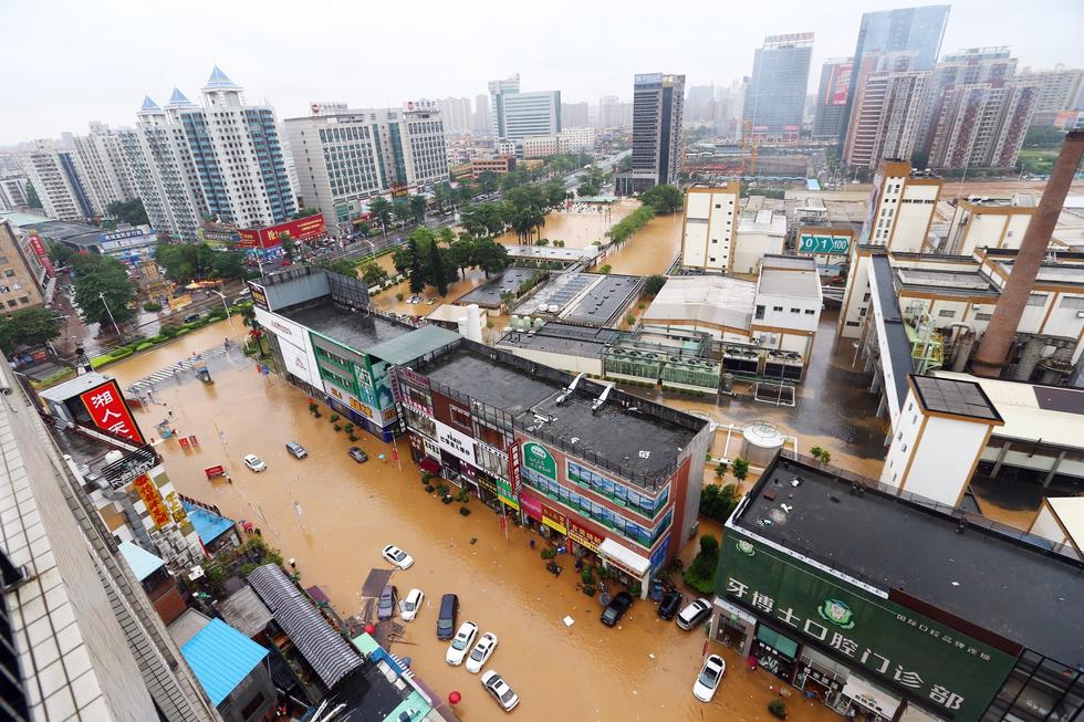 东莞大暴雨多地"水浸街" 市民街头抓鱼