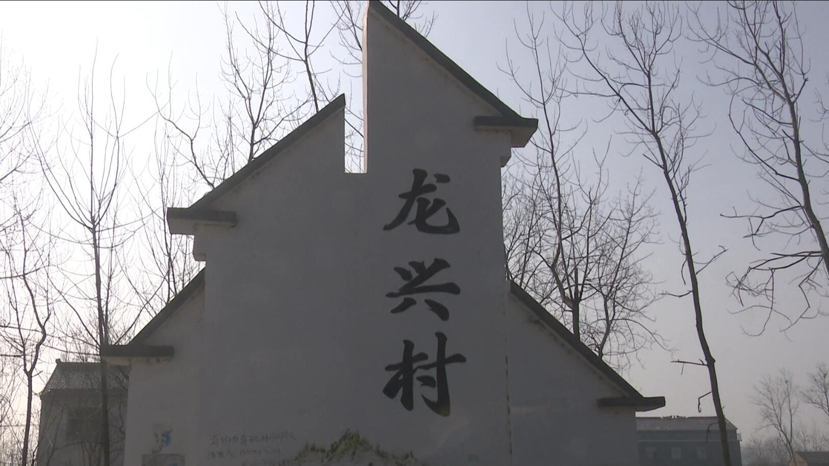 江苏灌南龙兴村：干部群众一条心，守住村庄抗疫情