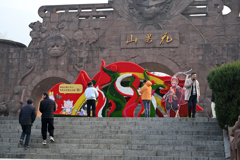 连云港：花果山大树集体穿上了“猴哥牌”毛衣